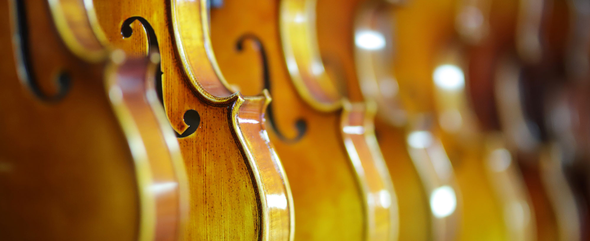 Webdesign für Violinrendezvous
